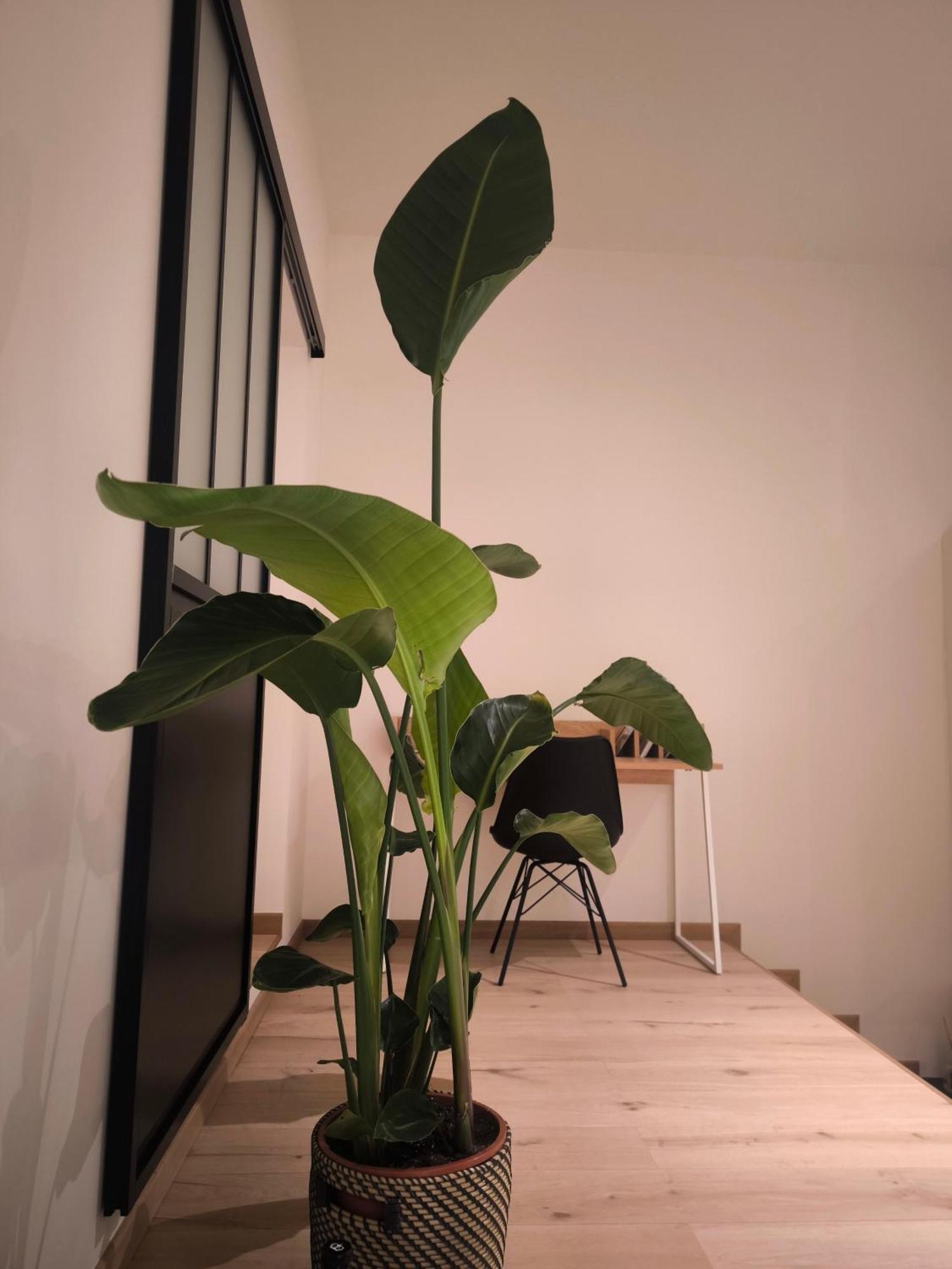 Le Castel Mosan Apartment Namur Ngoại thất bức ảnh