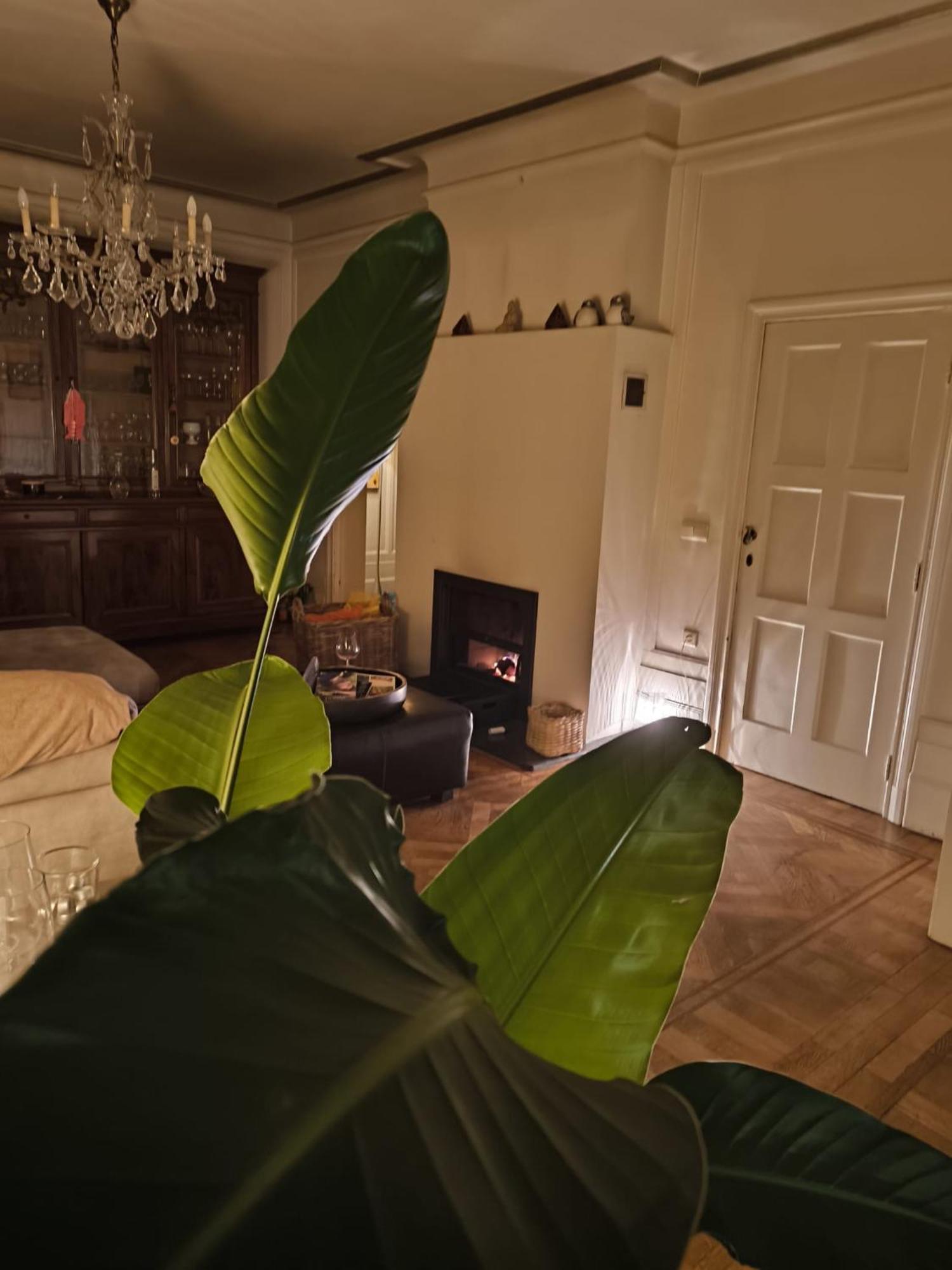 Le Castel Mosan Apartment Namur Ngoại thất bức ảnh